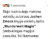 Magijos vadovas - nuotraukos Nr. 6