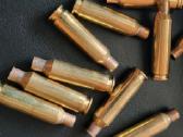 6.5 Creedmoor tūtelės - nuotraukos Nr. 2