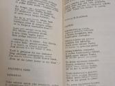 Knyga ,Poezijos posme gyvi, - nuotraukos Nr. 2