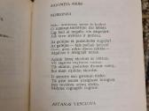 Knyga ,Poezijos posme gyvi, - nuotraukos Nr. 4