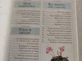 Kambarinės gėlės - nuotraukos Nr. 3