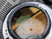 Nikon 85mm f/1.4d Af Nikkor - nuotraukos Nr. 8