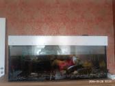Parduodu akvariuma 400l su išoriniu filtrų 200€ - nuotraukos Nr. 2