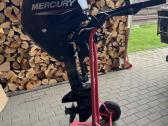 Mercury 10 L ( 20)
