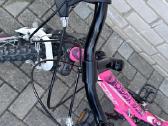 Dviratis Sprint Calypso 24" rožinis - nuotraukos Nr. 3