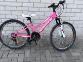 Dviratis Sprint Calypso 24" rožinis - nuotraukos Nr. 2