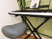 Elektroninis Pianinas / Sintezatorius - Alesis - nuotraukos Nr. 2