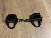 Garmin Rally RS 100