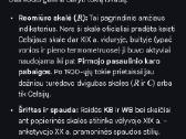 Antikvarinis vokiskas termometras - nuotraukos Nr. 4
