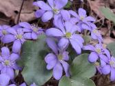 Parduodamas naujos statybos namas Kernavė - nuotraukos Nr. 11