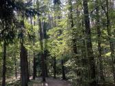 Parduodamas naujos statybos namas Kernavė - nuotraukos Nr. 12