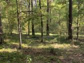 Parduodamas naujos statybos namas Kernavė - nuotraukos Nr. 13