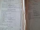 Bitininkystė. J. Kriščiūnas 1961m. - nuotraukos Nr. 4