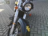 Suzuki vl 800