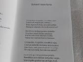 Gyvenimo simfonija - nuotraukos Nr. 3