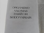 Organizmo valymas daržo ir sodo vaisiais - nuotraukos Nr. 2