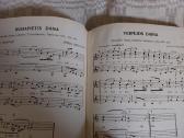 Muzikos barai iki karinis - nuotraukos Nr. 16