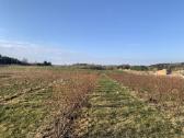 3 ha sodyba su tvenkiniu, derančiomis šilauogėmis - nuotraukos Nr. 2