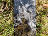 Pixel 6a 6/128gb Android 16 iššviesyklio keitimui. - nuotraukos Nr. 3
