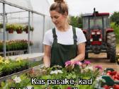 Es Projektaipaskolosverslo planai - nuotraukos Nr. 15