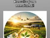 Es finansuojamų projektų rengimas - nuotraukos Nr. 6