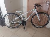 Trek Hibridinis Miesto dviratis