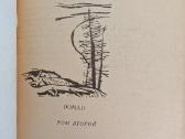 Ugrium-reka. V. Šiškov - nuotraukos Nr. 6