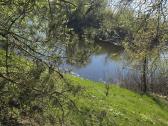 Parduodamas sklypas ant Nevėžio kranto (skardžio) - nuotraukos Nr. 7