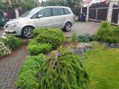 Opel Zafyra