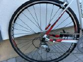 Plento dviratis Specialized Allez Elite 54 dydis - nuotraukos Nr. 3