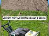 Velenos reztuvas nuoma - nuotraukos Nr. 12