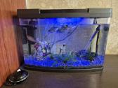 Akvariumas 70 litrų