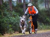 Paspirtukas Pawtrekker - nuotraukos Nr. 6