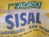 Lininiai špagatai - nuotraukos Nr. 2