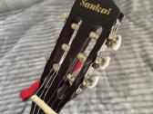 Gitara - nuotraukos Nr. 4