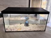 LED akvariumas Aquatel 54l