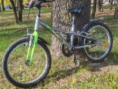 Vaikiškas dviratis Raven