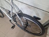 Panther (61cm 29er) - nuotraukos Nr. 4
