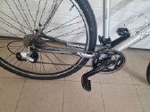 Panther (61cm 29er) - nuotraukos Nr. 6