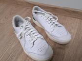 Puma kedai
