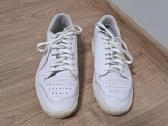 Puma kedai - nuotraukos Nr. 2