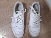 Puma kedai - nuotraukos Nr. 3
