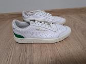 Puma kedai - nuotraukos Nr. 4