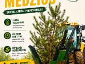 Medžių persodinimas - nuotraukos Nr. 2