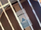 La Mancha Opalo C Gitara - nuotraukos Nr. 2