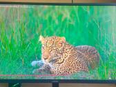 Samsung 32" 4k monitorius (Va, 60hz) ideali būklė - nuotraukos Nr. 2