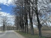 Namų valdos sklypas Dacijonuose – prie upelio - nuotraukos Nr. 13