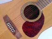 Cort 12 stygu akustine dvylikastyge gitara - nuotraukos Nr. 5