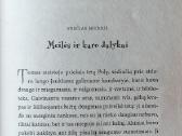 M. Twain "Tomo Sojerio nuotykiai" - nuotraukos Nr. 3
