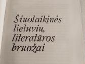 Šiuolaikinės lietuvių literatūros bruožai - nuotraukos Nr. 2
